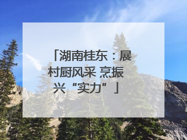 湖南桂东：展村厨风采 烹振兴“实力”