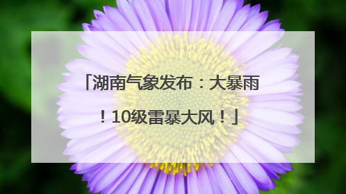 湖南气象发布：大暴雨！10级雷暴大风！