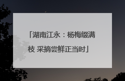 湖南江永：杨梅缀满枝 采摘尝鲜正当时