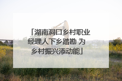 湖南洞口乡村职业经理人下乡踏勘 为乡村振兴添动能