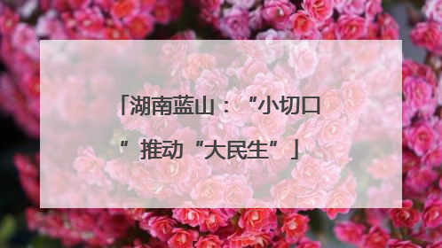 湖南蓝山：“小切口”推动“大民生”