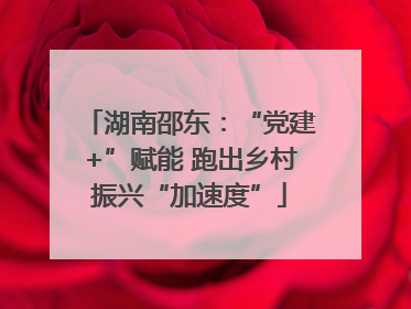 湖南邵东：“党建+”赋能 跑出乡村振兴“加速度”