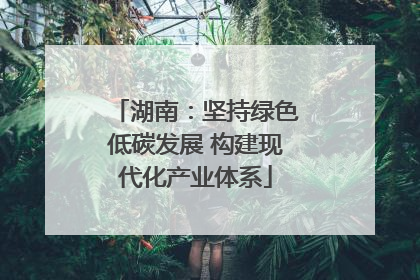 湖南：坚持绿色低碳发展 构建现代化产业体系