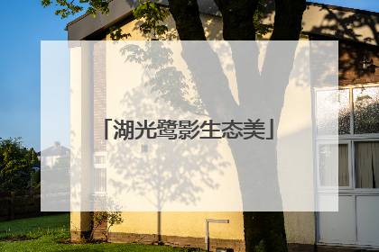 湖光鹭影生态美