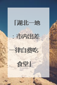 湖北一地：市内出差一律自费吃食堂