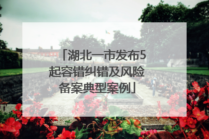 湖北一市发布5起容错纠错及风险备案典型案例