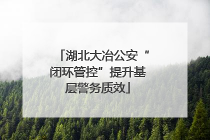 湖北大冶公安“闭环管控”提升基层警务质效