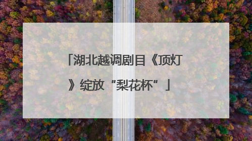 湖北越调剧目《顶灯》绽放“梨花杯”