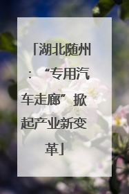 湖北随州：“专用汽车走廊”掀起产业新变革