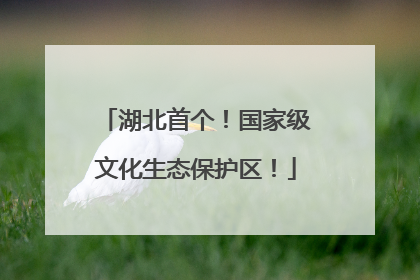 湖北首个！国家级文化生态保护区！