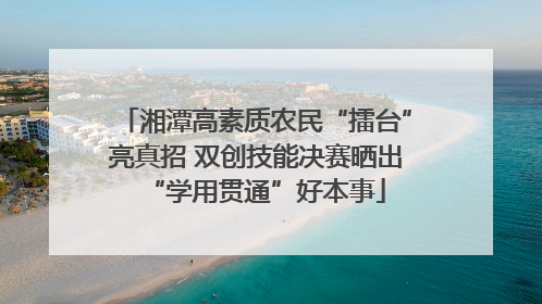 湘潭高素质农民“擂台”亮真招 双创技能决赛晒出“学用贯通”好本事