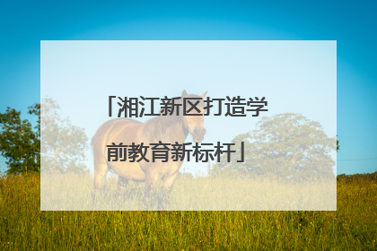 湘江新区打造学前教育新标杆