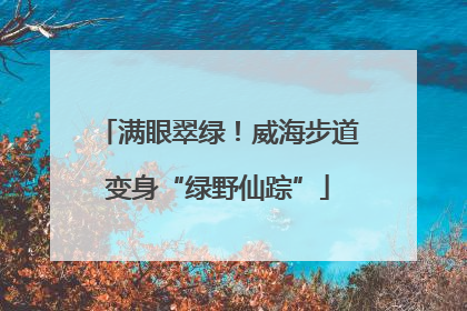满眼翠绿！威海步道变身“绿野仙踪”