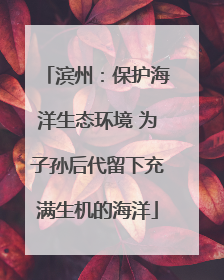 滨州：保护海洋生态环境 为子孙后代留下充满生机的海洋