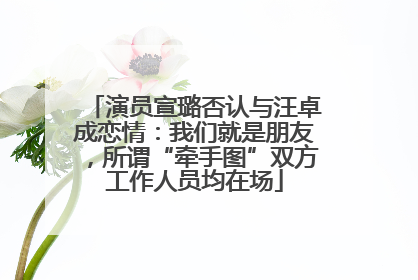 演员宣璐否认与汪卓成恋情：我们就是朋友，所谓“牵手图”双方工作人员均在场