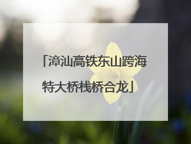 漳汕高铁东山跨海特大桥栈桥合龙