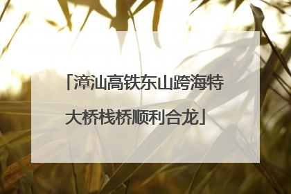 漳汕高铁东山跨海特大桥栈桥顺利合龙
