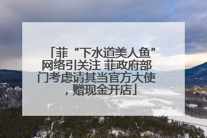 菲“下水道美人鱼”网络引关注 菲政府部门考虑请其当官方大使，赠现金开店