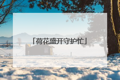 荷花盛开守护忙