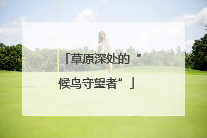 草原深处的“候鸟守望者”