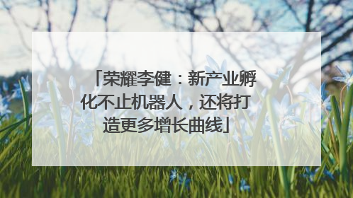 荣耀李健：新产业孵化不止机器人，还将打造更多增长曲线