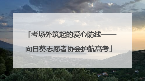 考场外筑起的爱心防线——向日葵志愿者协会护航高考