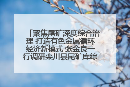 聚焦尾矿深度综合治理 打造有色金属循环经济新模式 张金良一行调研栾川县尾矿库综合治理工作