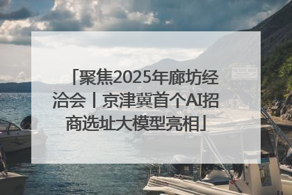 聚焦2025年廊坊经洽会丨京津冀首个AI招商选址大模型亮相