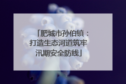 肥城市孙伯镇：打造生态河道筑牢汛期安全防线