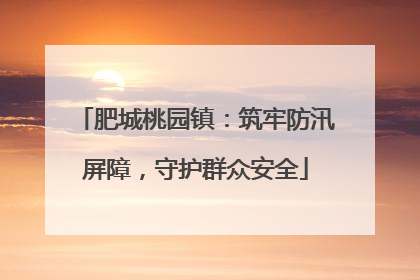 肥城桃园镇：筑牢防汛屏障，守护群众安全