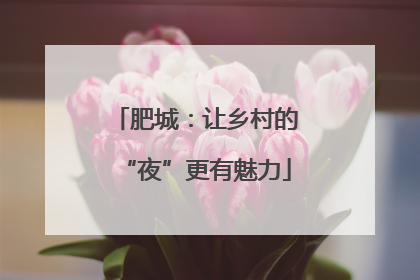 肥城：让乡村的“夜”更有魅力