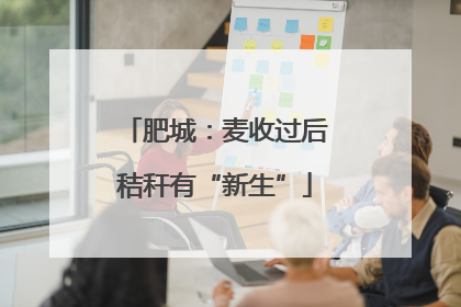肥城：麦收过后秸秆有“新生”