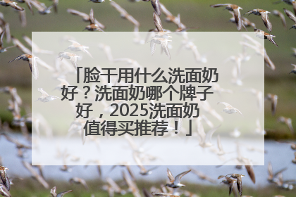 脸干用什么洗面奶好？洗面奶哪个牌子好，2025洗面奶值得买推荐！