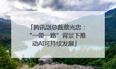 腾讯副总裁蔡光忠：“一带一路”背景下推动AI可持续发展