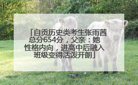 自贡历史类考生张雨茜总分654分，父亲：她性格内向，进高中后融入班级变得活泼开朗