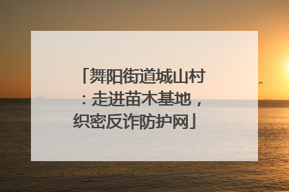 舞阳街道城山村：走进苗木基地，织密反诈防护网