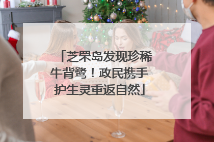 芝罘岛发现珍稀牛背鹭！政民携手护生灵重返自然