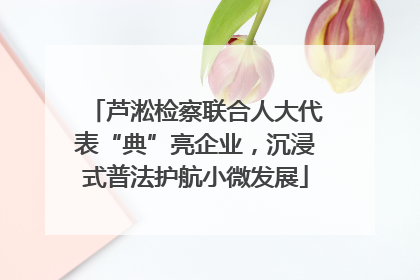 芦淞检察联合人大代表“典”亮企业，沉浸式普法护航小微发展