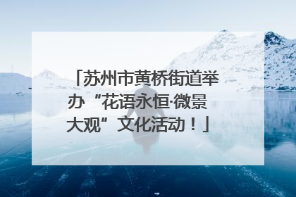 苏州市黄桥街道举办“花语永恒·微景大观”文化活动！