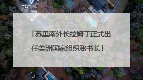 苏里南外长拉姆丁正式出任美洲国家组织秘书长