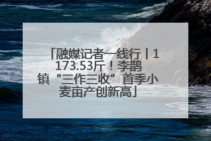 融媒记者一线行丨1173.53斤！李鹊镇“三作三收”首季小麦亩产创新高