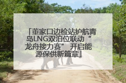 董家口边检站护航青岛LNG双泊位联动“龙舟接力赛” 开启能源保供新篇章