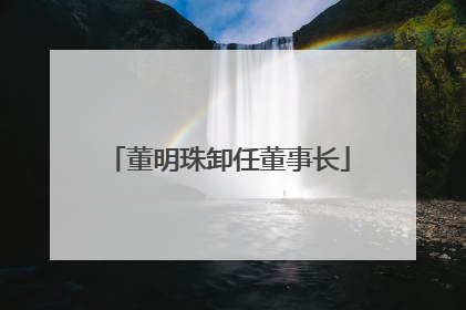 董明珠卸任董事长
