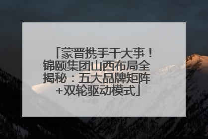 蒙晋携手干大事！锦颐集团山西布局全揭秘：五大品牌矩阵+双轮驱动模式