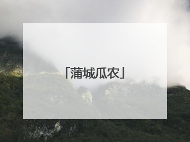 蒲城瓜农