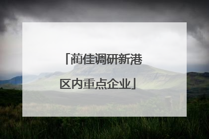 蔺佳调研新港区内重点企业