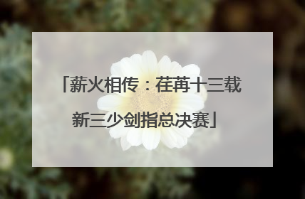 薪火相传：荏苒十三载 新三少剑指总决赛