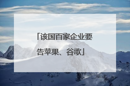 该国百家企业要告苹果、谷歌