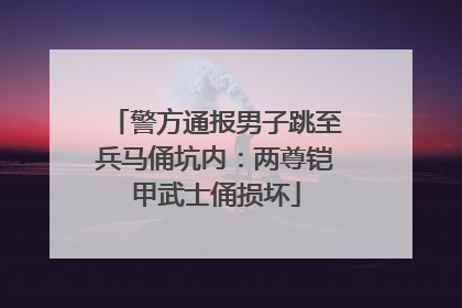 警方通报男子跳至兵马俑坑内：两尊铠甲武士俑损坏