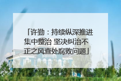 许勤：持续纵深推进集中整治 坚决纠治不正之风查处腐败问题